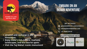 Eco Tourism Projects In India