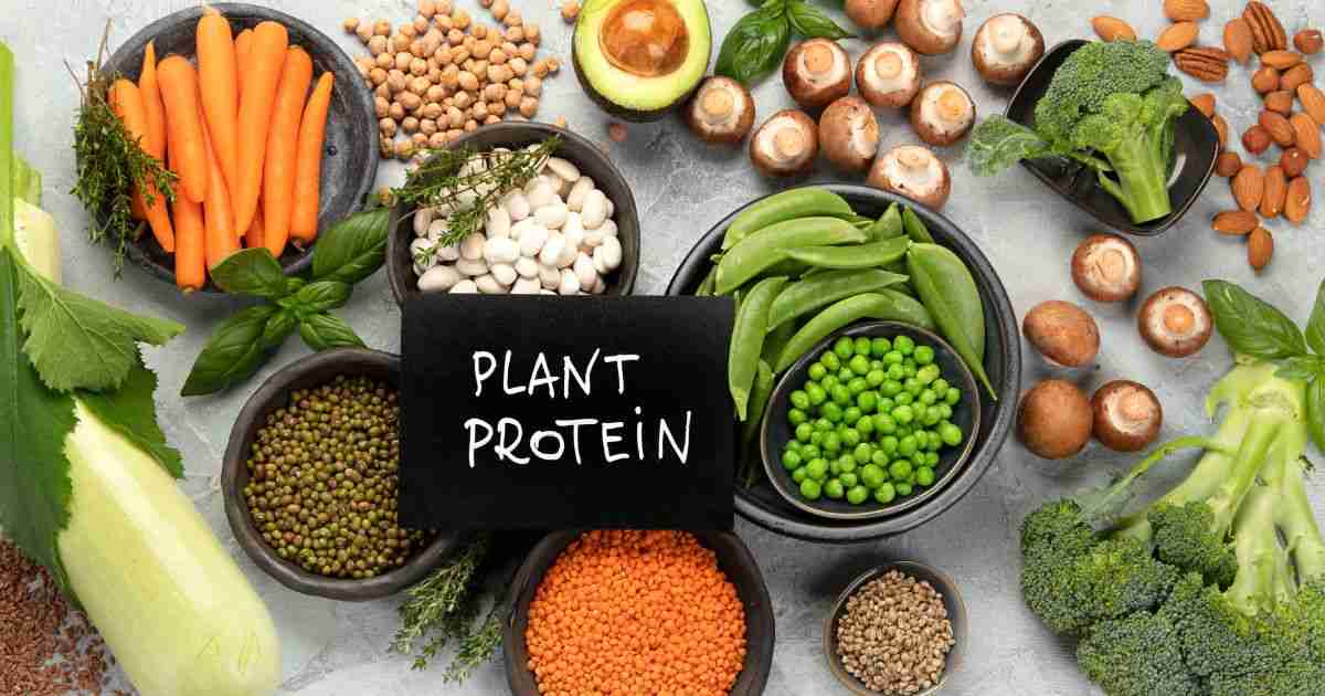 Plant Protein Market: Growth, Innovations, Trends, and Consumer Preferences Explored