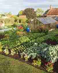 Tips, Tricks, And Advice For Your Organic Garden