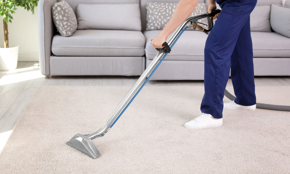 Elevate Your Living Standard: Professional Carpet Cleaning Essentials