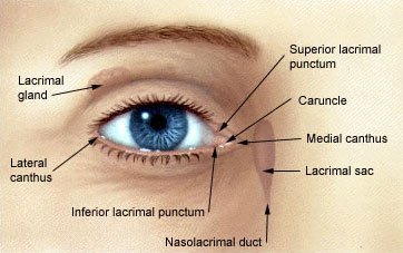 Discovering Top-notch Eye Care: Meet Dr. Rajiv Bajaj, a Renowned Eye Doctor in Delhi