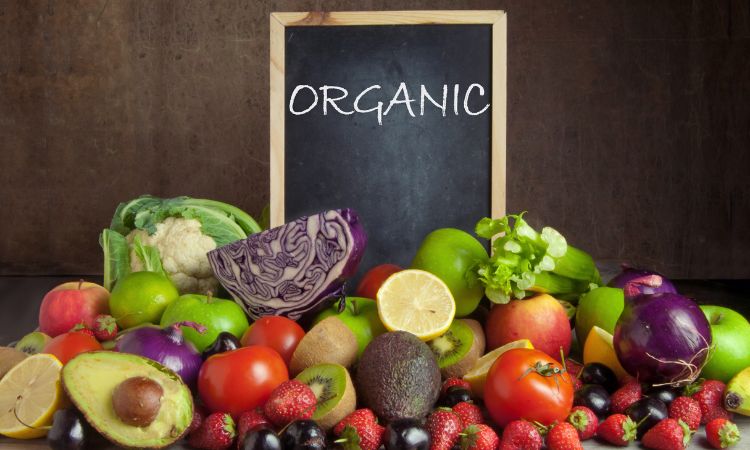India Organic Food Market Share, Size, Growth, Forecast (2024-2032)