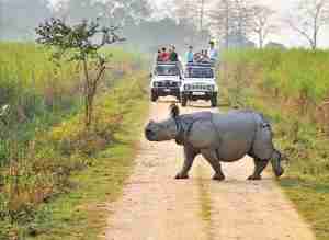 2 Nights 3 Days Kaziranga Package	