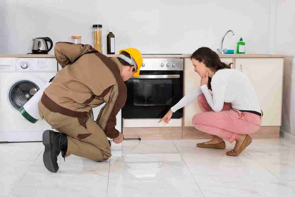 Effective Ways to Keep Pests at Bay and Strategies for Handling Infestations