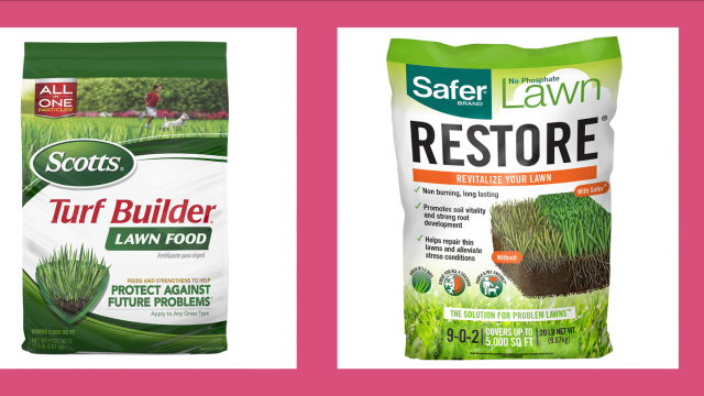 The Best Fertilizers for Lawns in Australia: A Comprehensive Guide