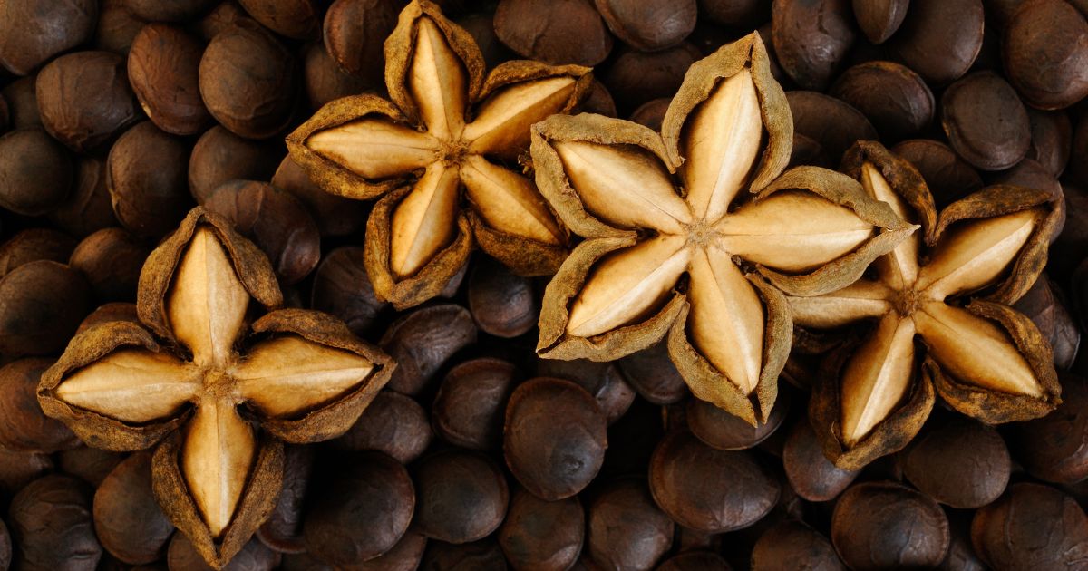 Sacha Inchi Market: Rising Demand for Superfoods Fuels Expansion