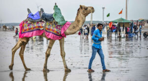 Gujarat Itinerary For 10 Days