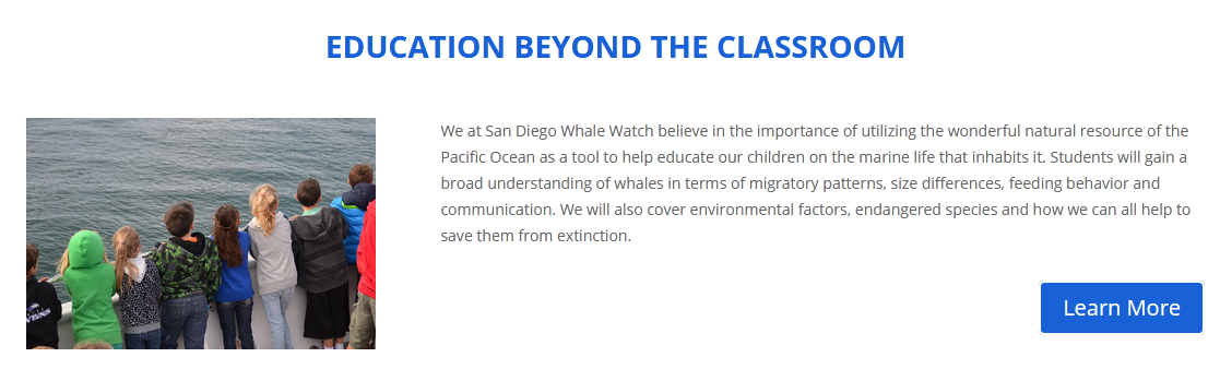 Exploring San Diego’s Spectacular Boat Rides: Dolphin Watching and San Diego Boat Tours!