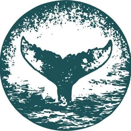 Wild Whales Vancouver