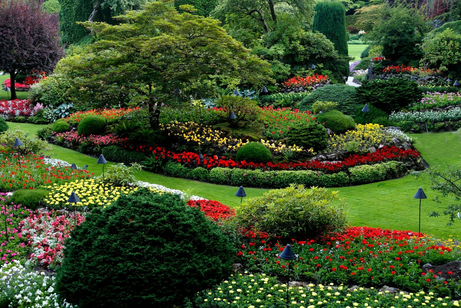 garden