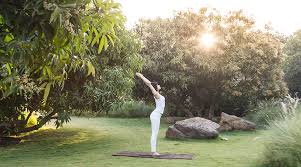 Yoga In Gir Sasan Gir
