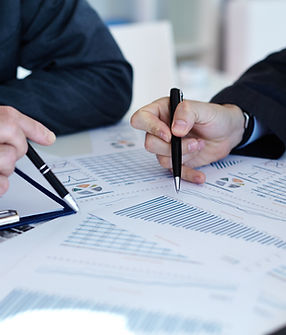 Professional Expert Witness Services for Legal Cases