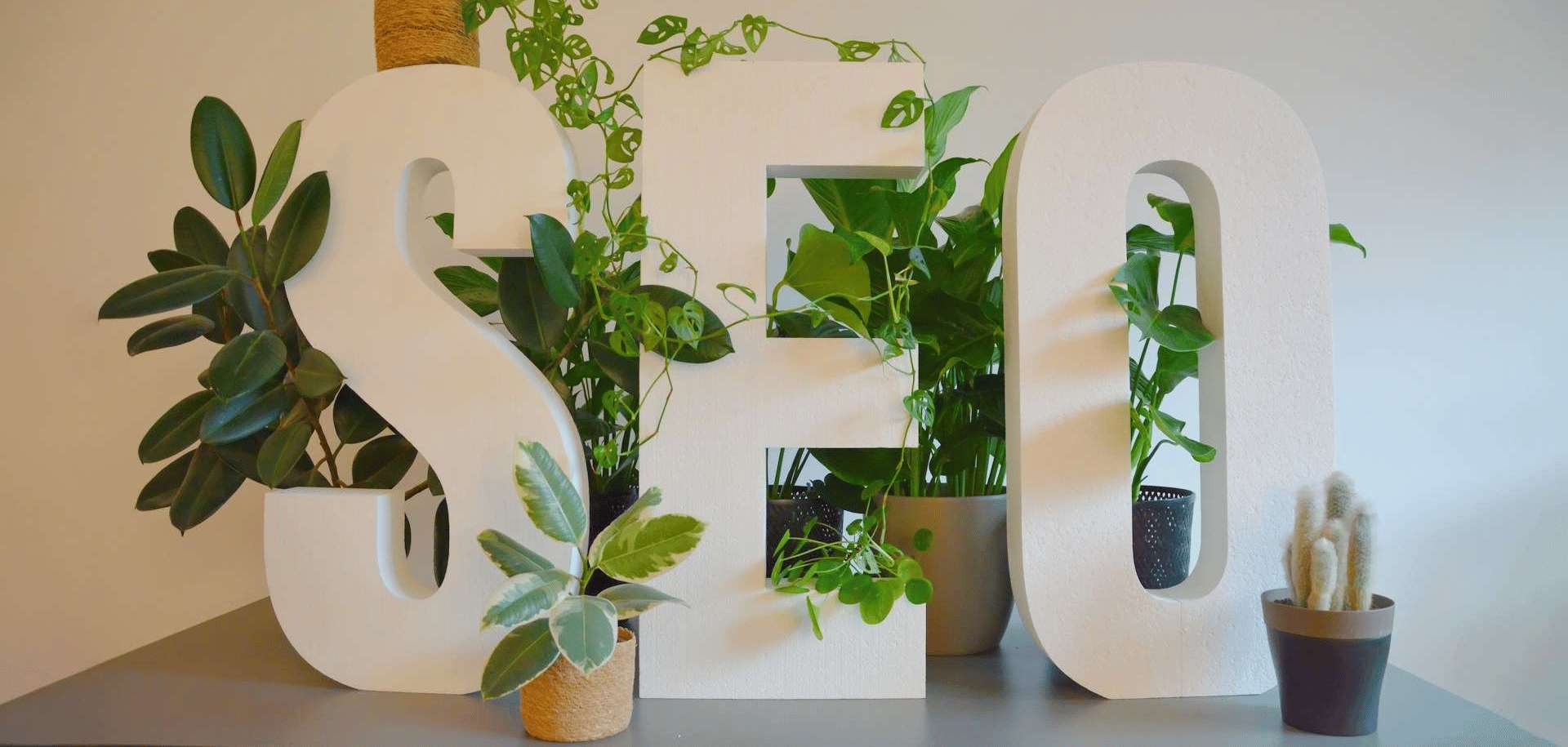 Finding the Best SEO Company