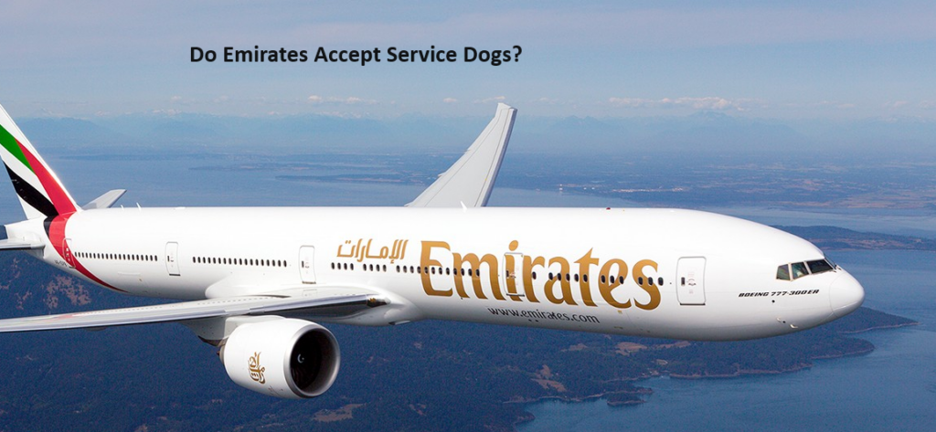 Do Emirates Accept Service Dogs?
