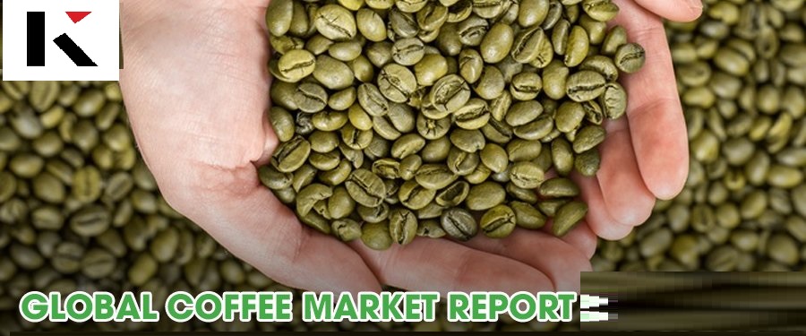 Green Coffee Market Size Growth by Regional Segments 2024: Upcoming Business Strategies and Industry Revenue Forecast by 2031
