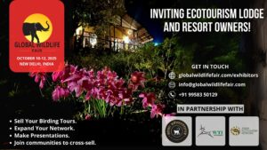 Environmentally Friendly Tourism