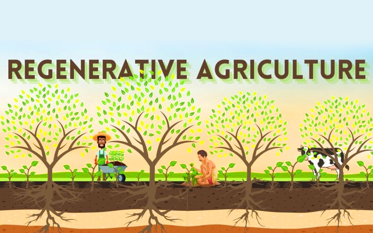 Regenerative Agriculture Market Size, Developments: Recent Advances and Future Prospects