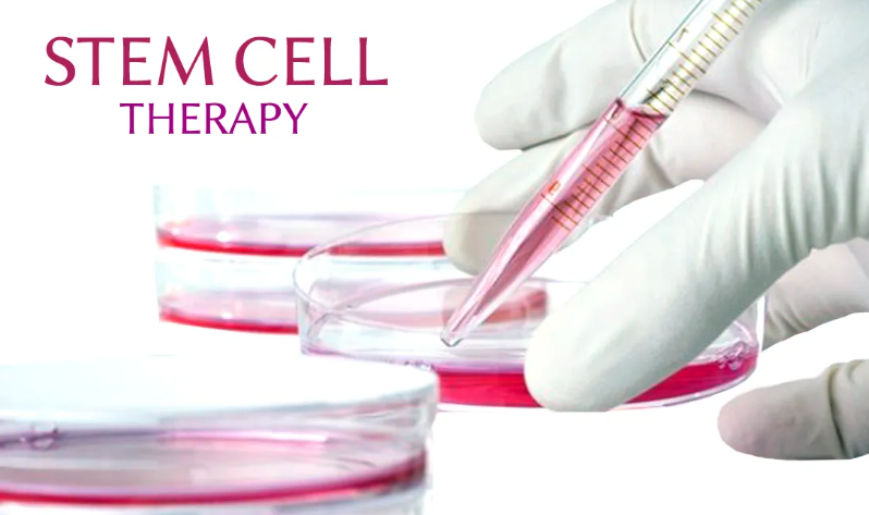 Potential of Stem Cells in Spinal Cord Injury Rehabilitation