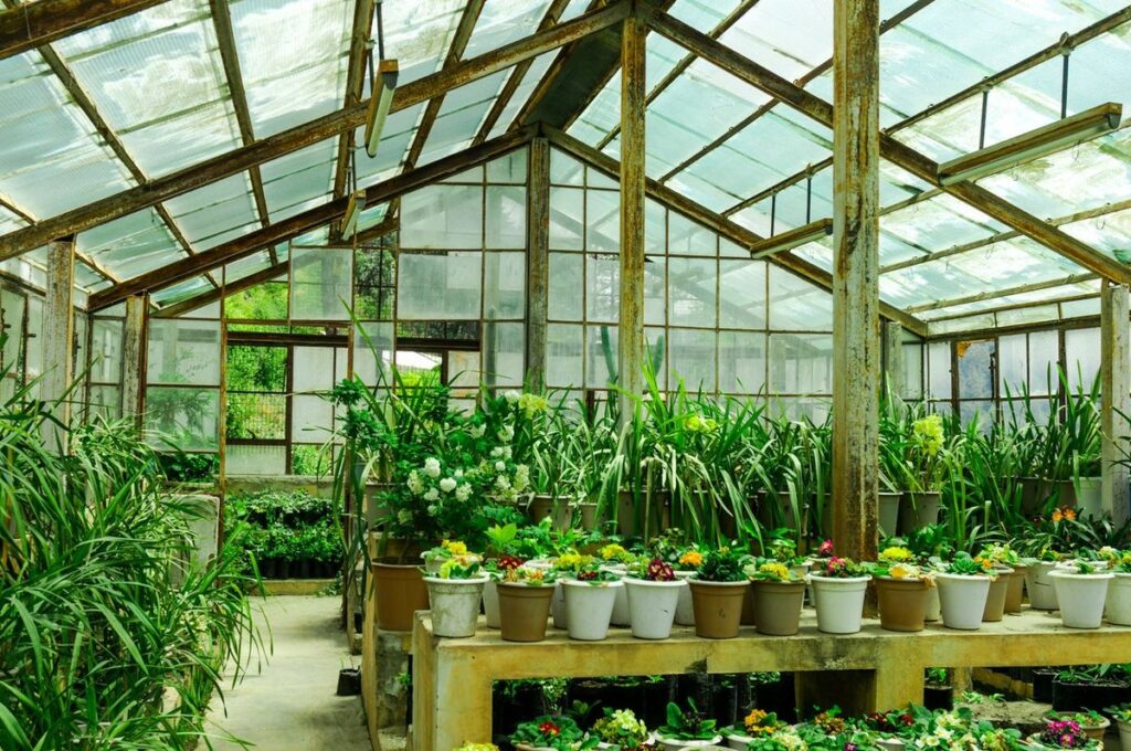 Report on Cost Requirements for Setting Up a Greenhouse Manufacturing Plant