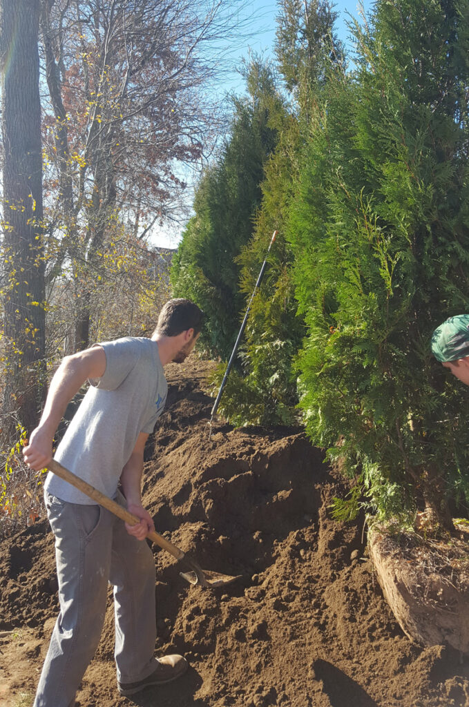 Enhance Your Landscape with Professional Mulch Installation