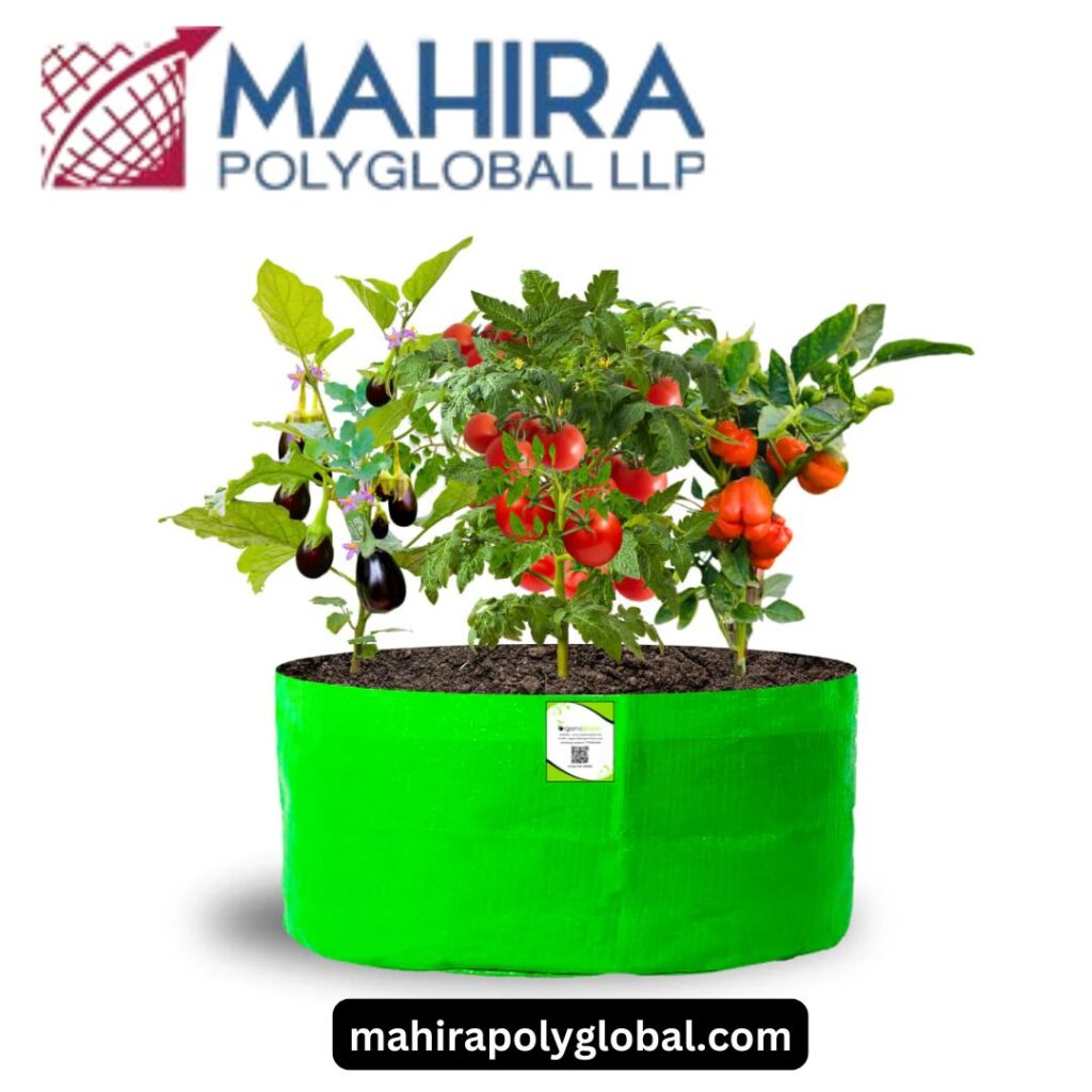 Embracing the Future of Gardening: The Versatility of Planter Bags