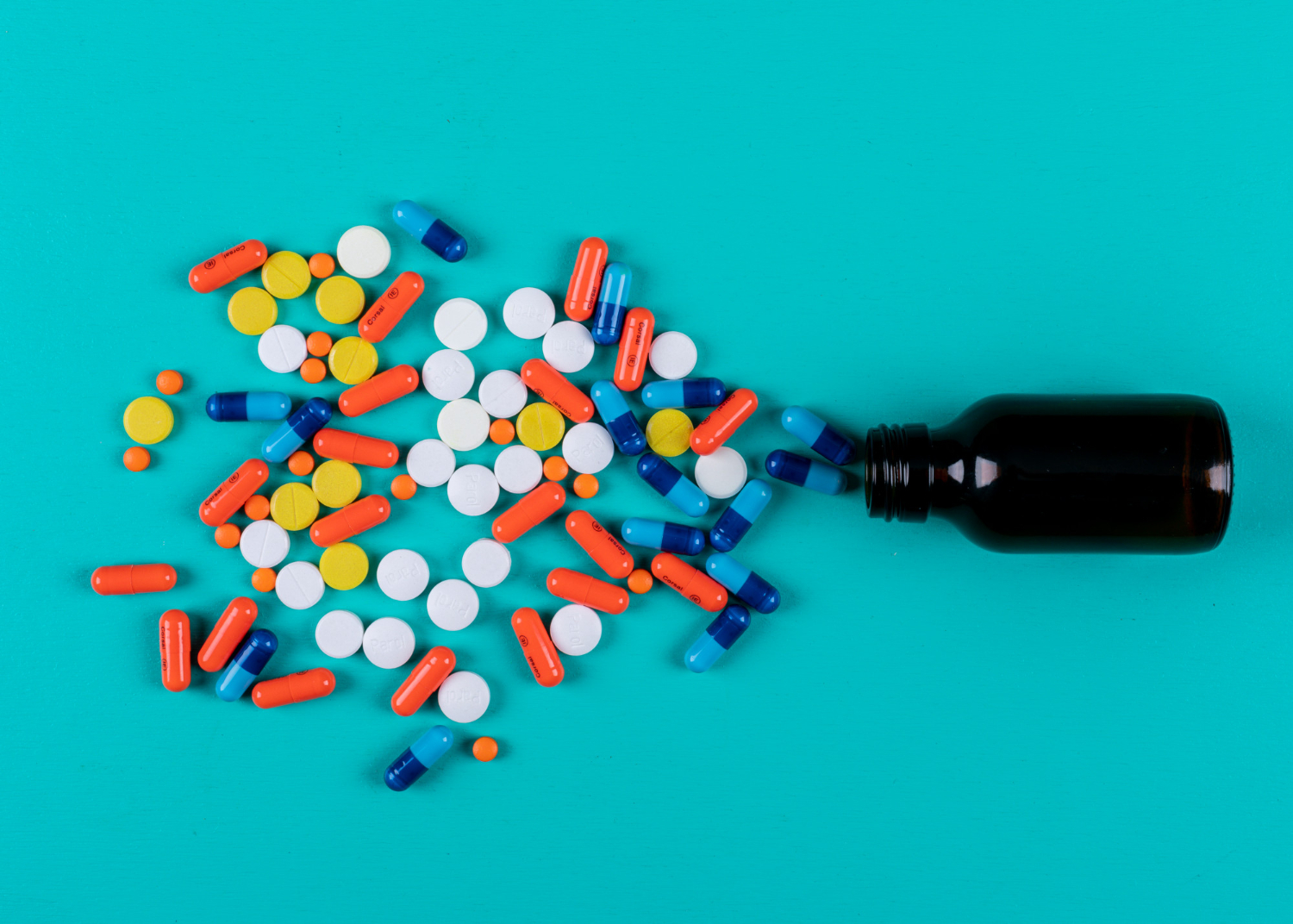 Exploring the Landscape of PCD Pharma Companies in Chandigarh