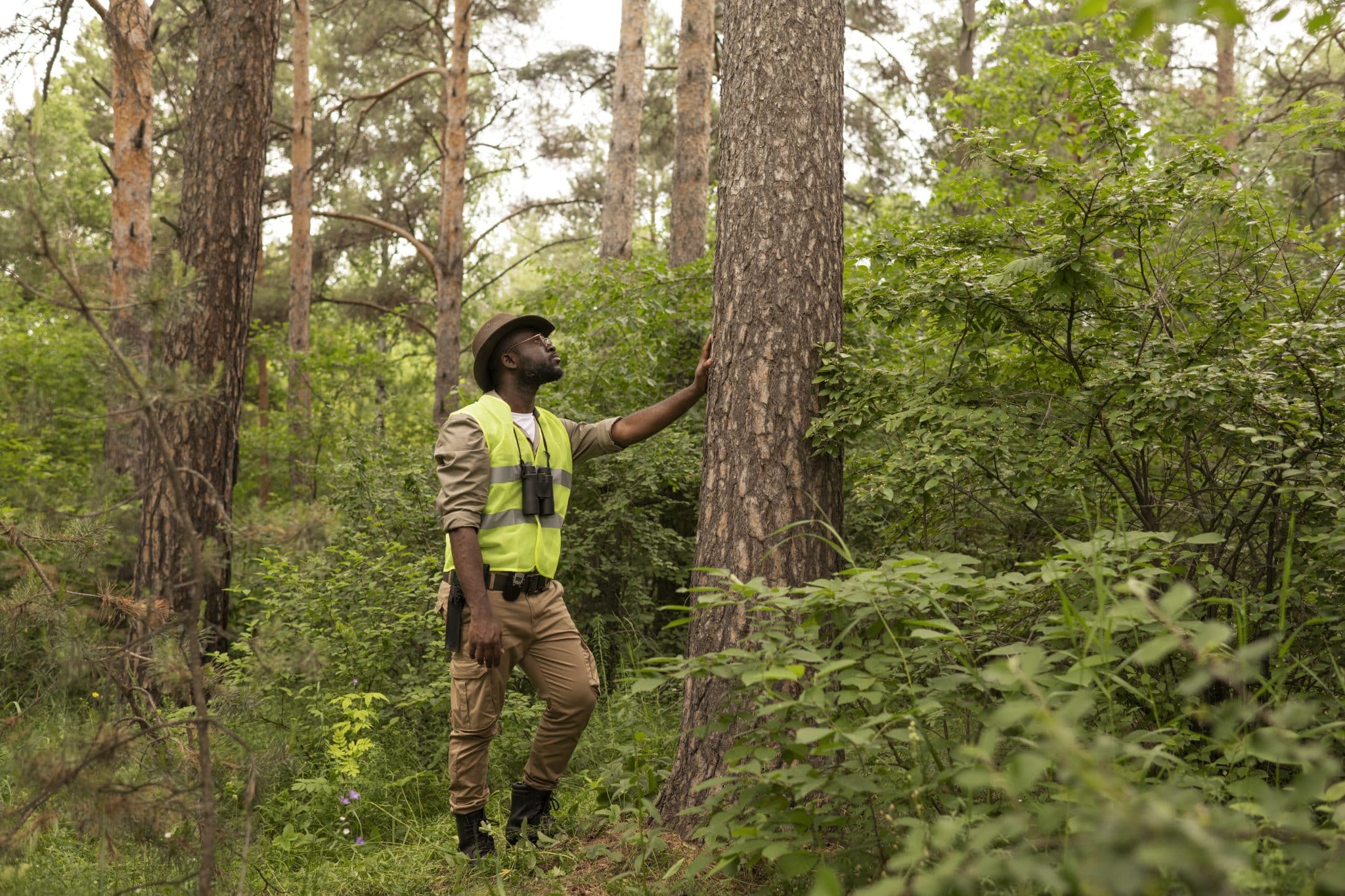 Affordable Tree Service Houston: Expert Care at Low Prices