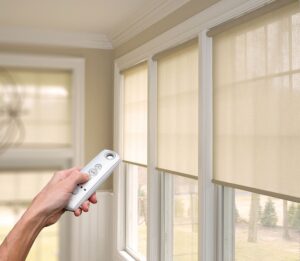 Roller Window Blinds