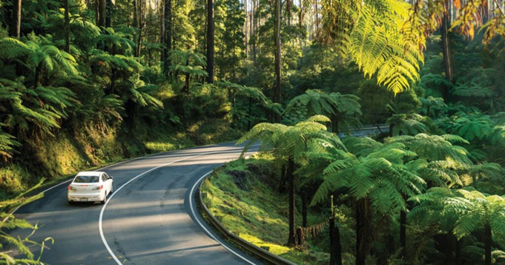 Top Road Trips from Bengaluru for a Perfect Weekend Getaway