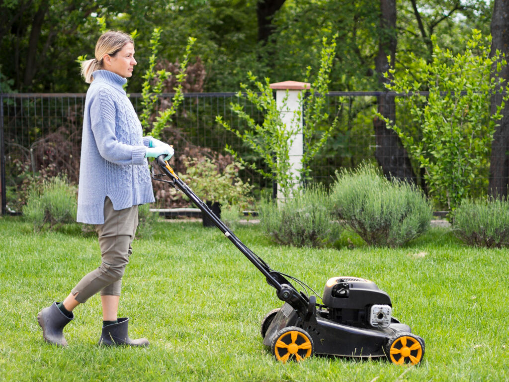 Factors to Consider When Choosing the Lawn Mower