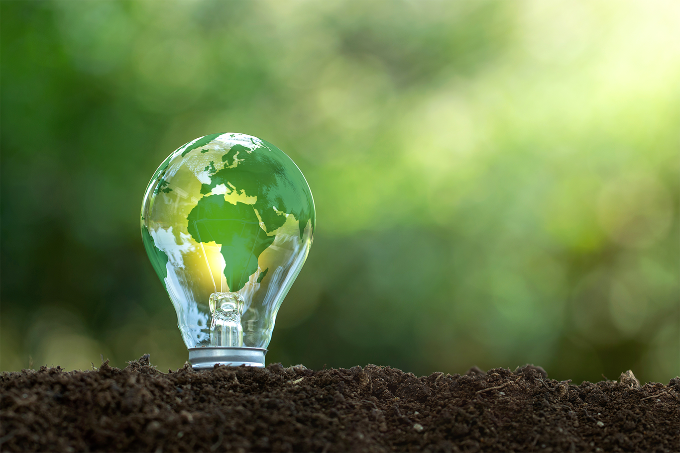 The Potential of Green Energy for a Sustainable Future