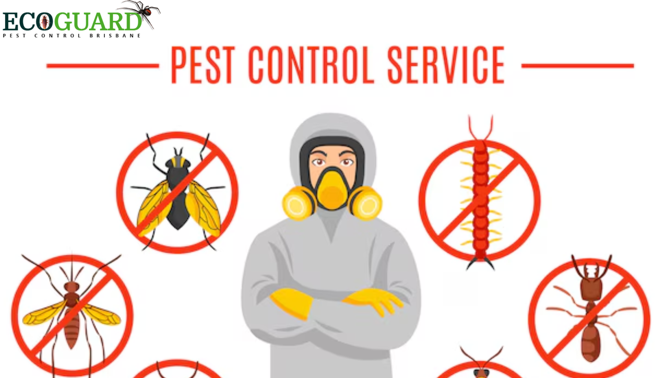 Comprehensive Guide to Finding the Best Pest Control Services Near You