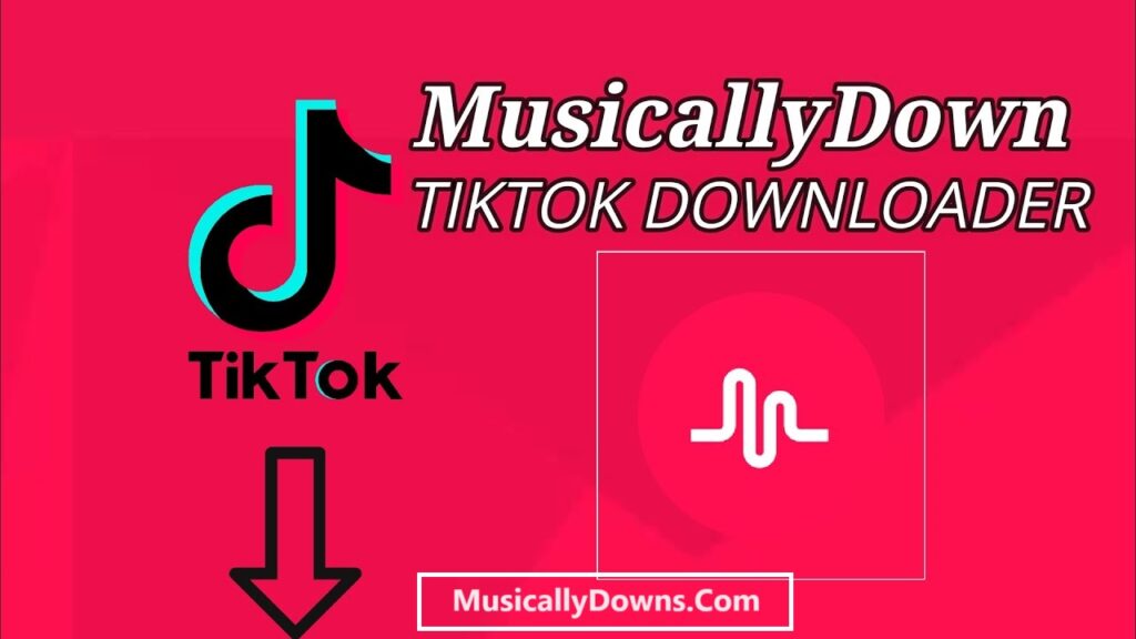 MusicallyDown – Download Video Tiktok Without Watermark