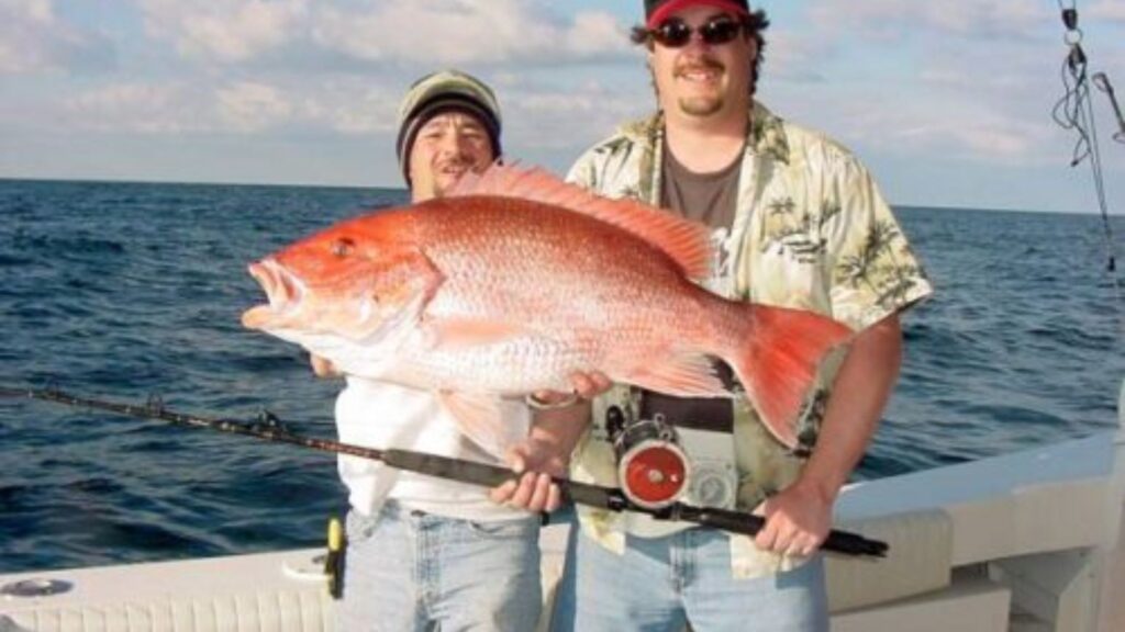 Exploring the Best of Cocoa Beach and Cape Canaveral with Arts Adventure Fishing Charters