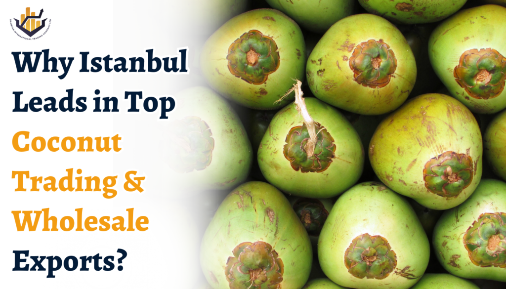 Why Istanbul Leads in Top Coconut Trading & Wholesale Exports?