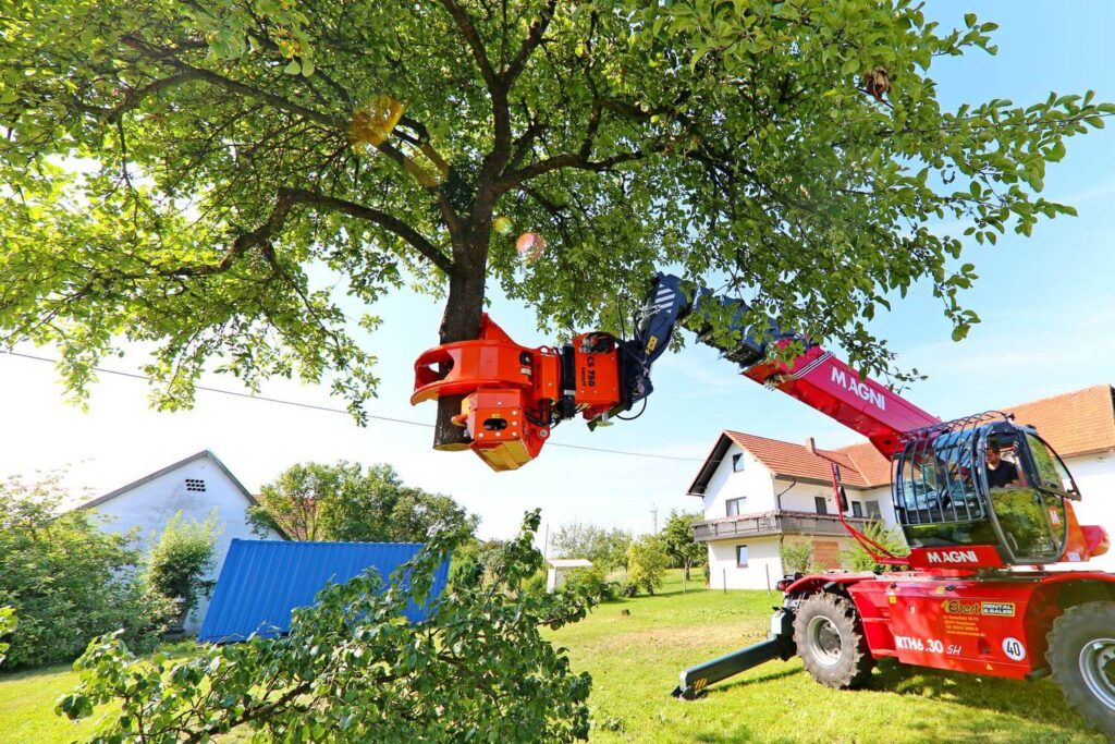 Advanced Tree Service: Safeguarding Your Property with Professional Tree Care