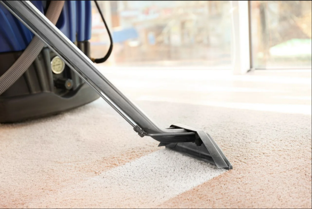 Best Carpet Cleaning Services for a Healthier Home Environment
