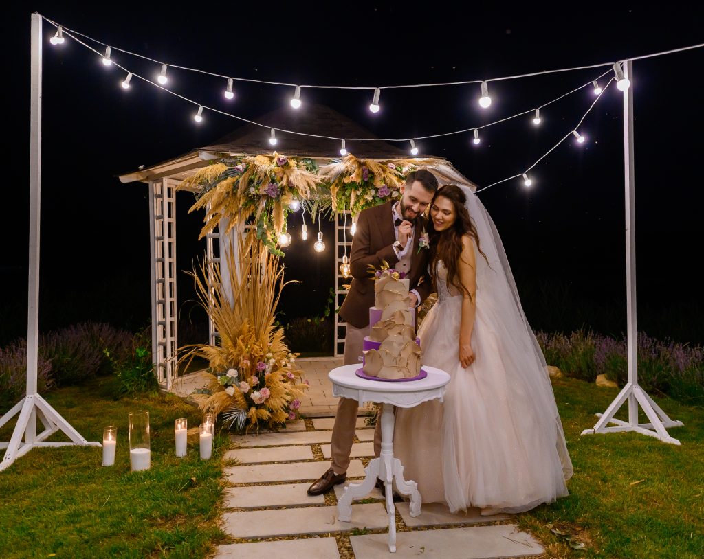 Top Professional Concert Videographers in Warren, MI