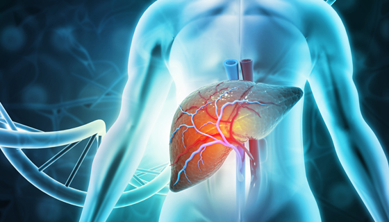 Understanding the Growth of the Progressive Familial Intrahepatic Cholestasis Market (2025-2035)
