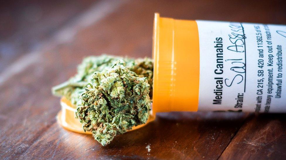 The Science Behind Cannabis and Drug Interactions: Understanding Enzyme Pathways