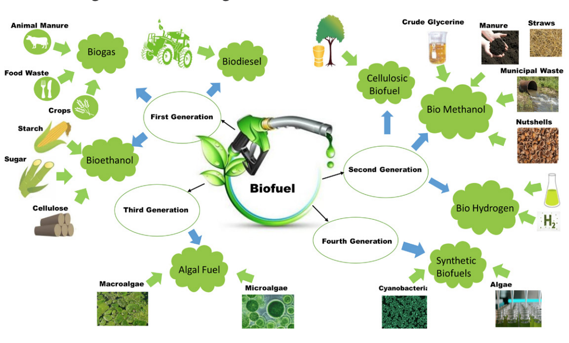 Latest Comprehensive Algae-Based Biofuel Production Cost