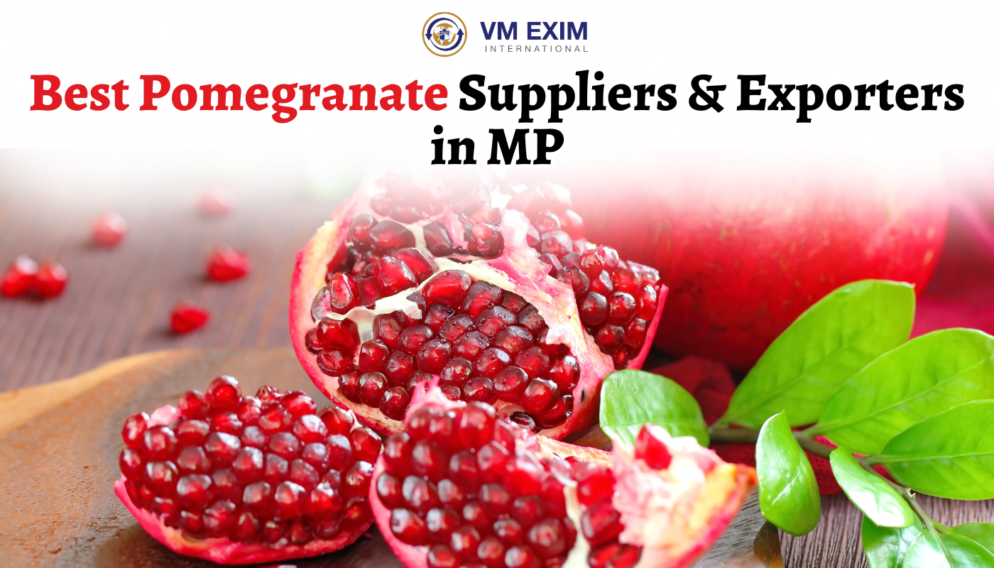 Best Pomegranate Suppliers & Exporters in MP