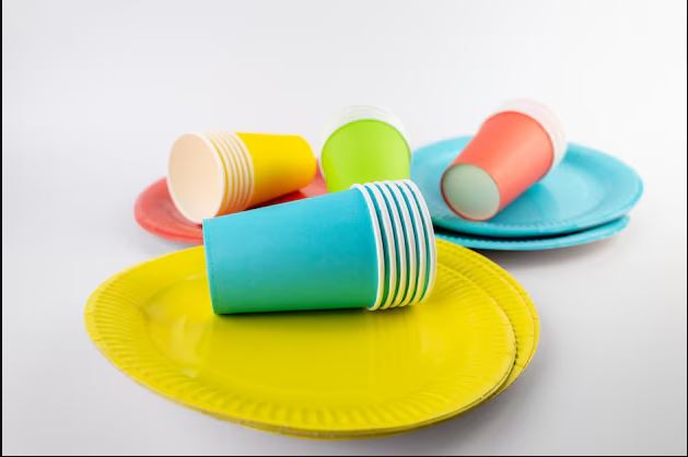 India Paper Cups and Paper Plates Market Size, Trends, Growth & Demand Forecast 2025-2033