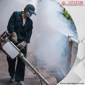 termite treatment