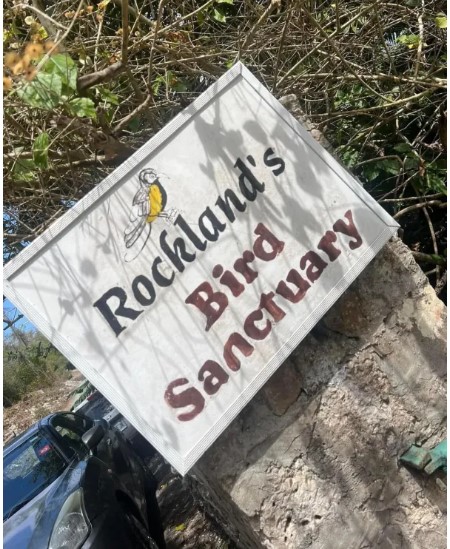 Discover the Natural Beauty of Rocklands Bird Sanctuary Jamaica with JARoutes