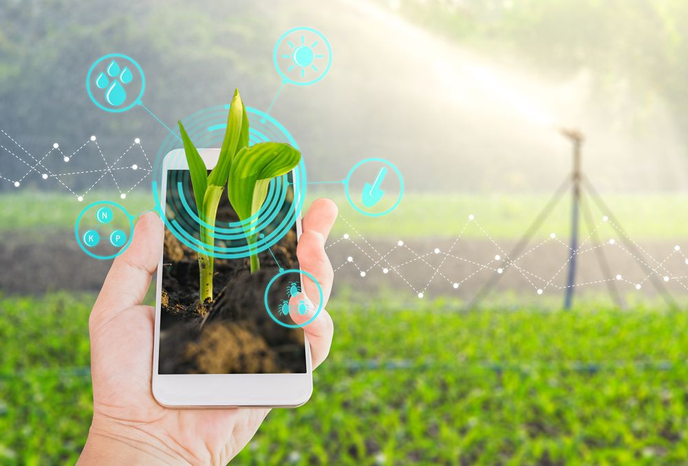 Sustainable Agriculture Recruiting Agency