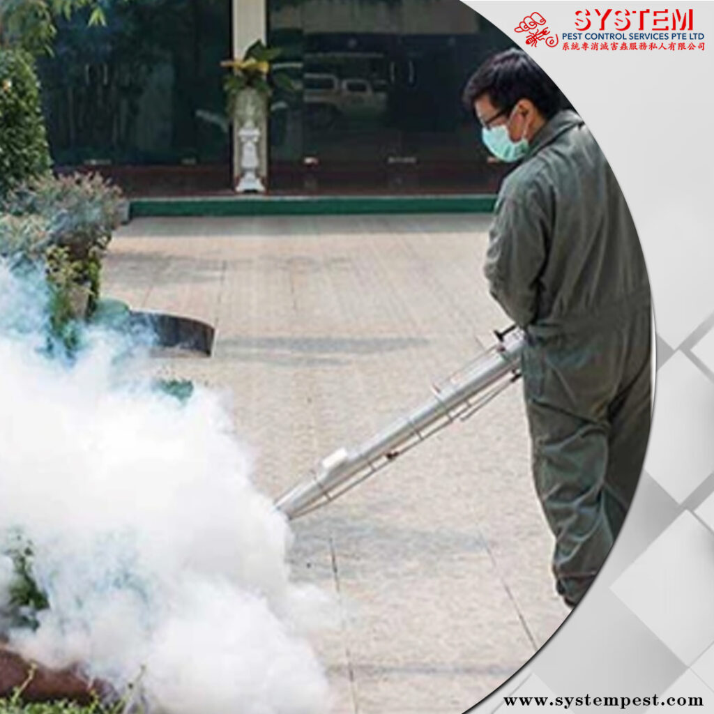 How to Choose the Right Termite Treatment?