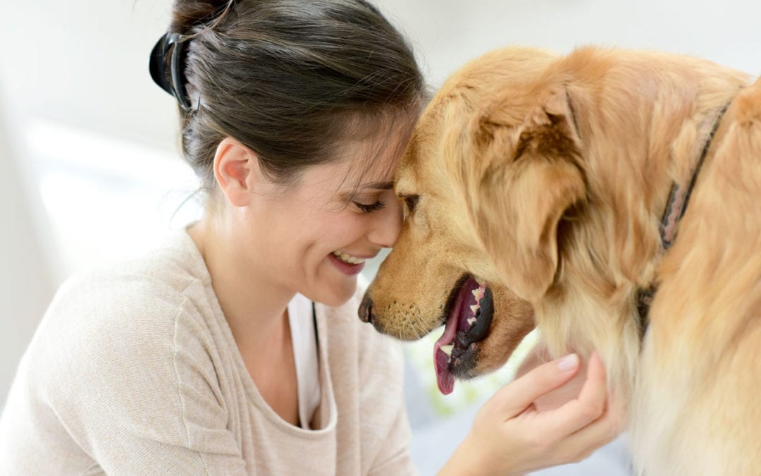 What Supplements Can Improve My Pet’s Health?