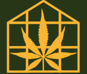 The Ultimate Guide to Successful Cannabis Cultivation
