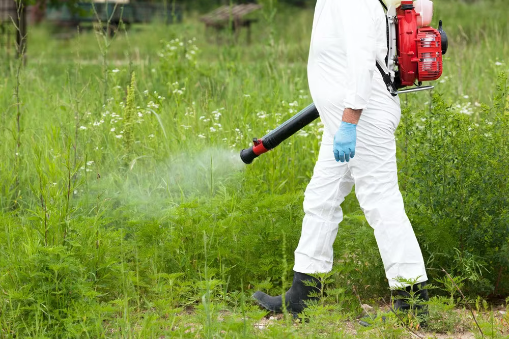 Désherbant Radikal 5L : Le meilleur allié pour un jardin sans mauvaises herbes